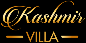restaurant indien pakistanais kashmir villa toulon